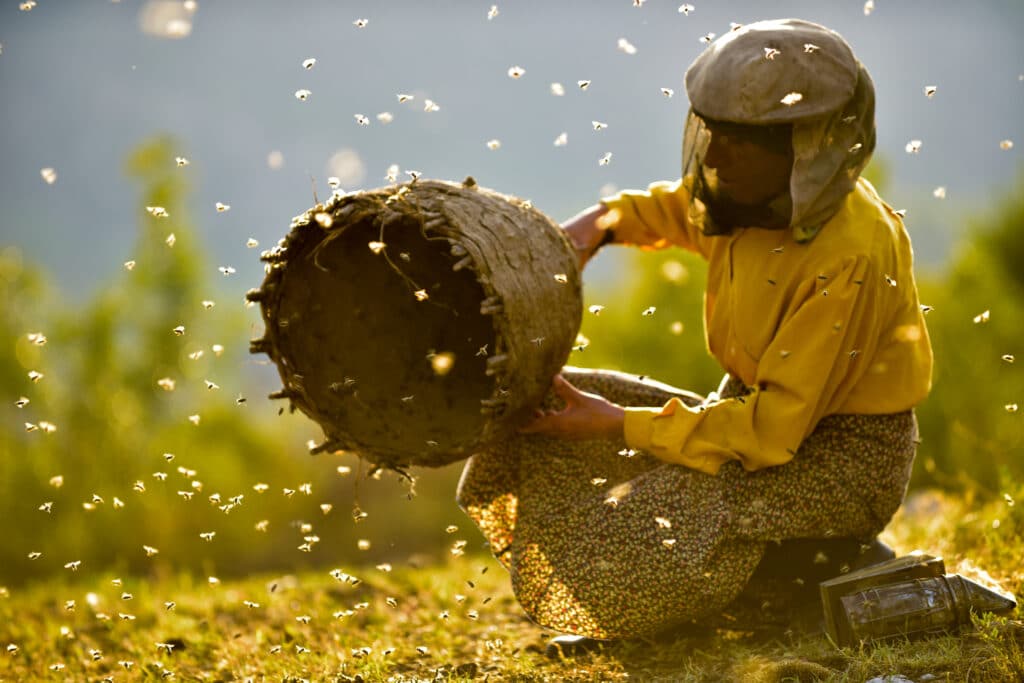 Honeyland 01HONEYLAND Photo byLjuboStefanov20170828 D5D2777 15
