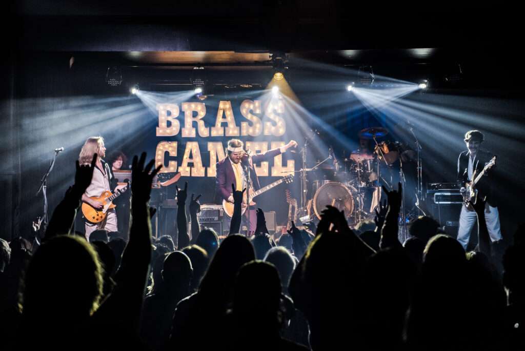 brass-camel-02